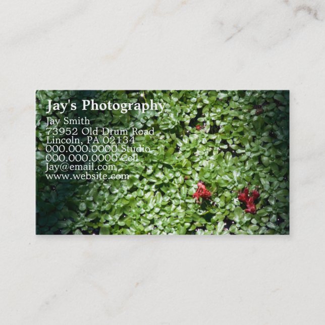 Business Cards For Photographers (Front)