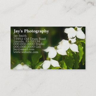 Business Cards For Photographers