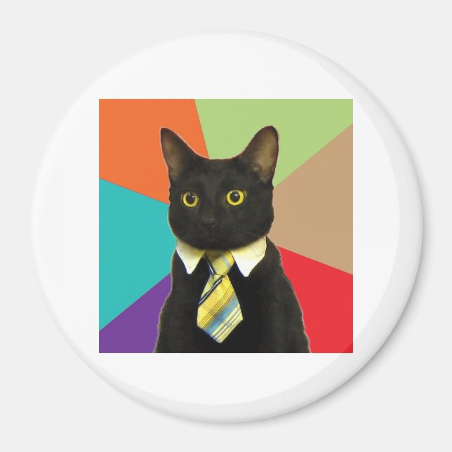 Business Cat Advice Animal Meme Magnet (Front)