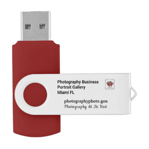 Business Company Logo Promotional Personalise USB Flash Drive