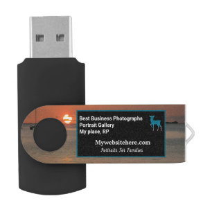 Business Company Logo Promotional Personalize USB Flash Drive