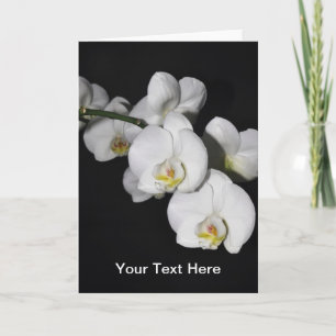 Business Greeting Card Customisable