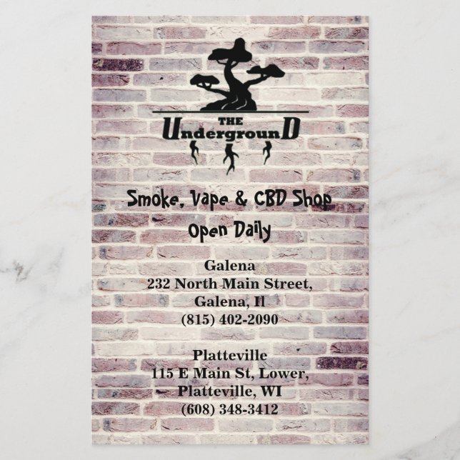 Business Logo and Address info   Flyer (Front)