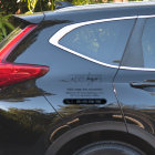 Business Logo Modern Simple Promotional Car Window