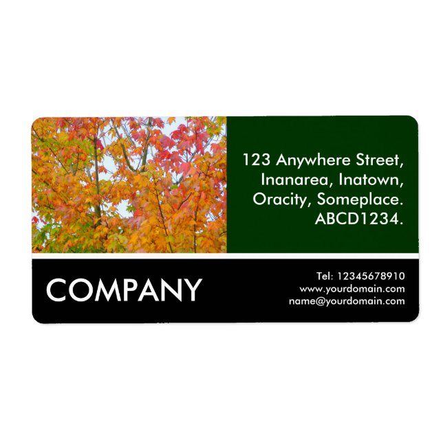 Business Photo - Autumn Leaves II (Front)