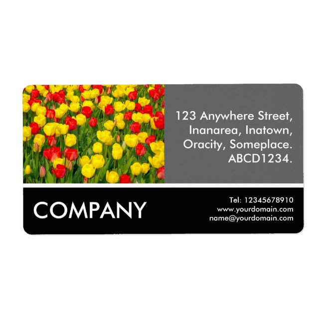 Business Photo - Colourful Tulips (Front)