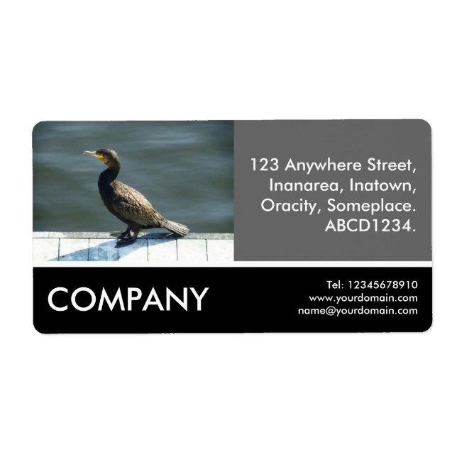 Business Photo - Cormorant (Front)