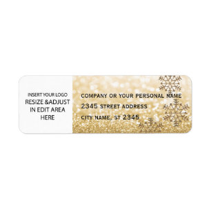 Business simple / insert logo sparkle snowflake