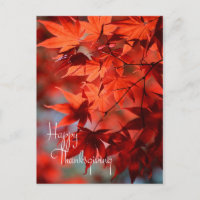Business Thanksgiving Postcard / Red Autumn Leaves
