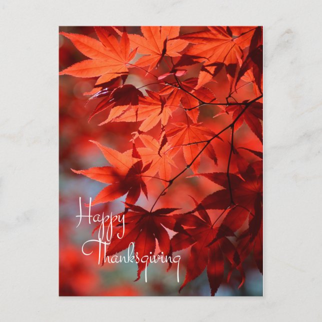 Business Thanksgiving Postcard / Red Autumn Leaves (Front)
