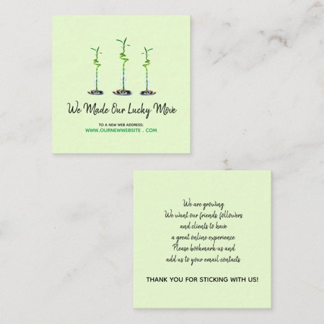 Business Website Address Change Curly Bamboo Square Business Card (Front/Back)