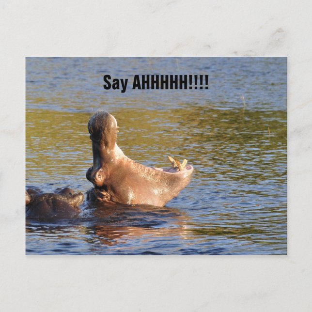 Bussiness Supplies  Appointment Reminder Dental Postcard (Front)