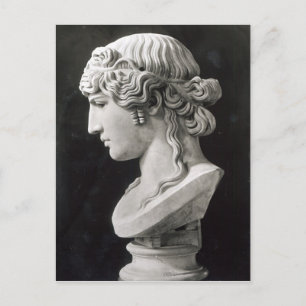 Bust of Antinous  called 'Antinous Mondragone' Postcard