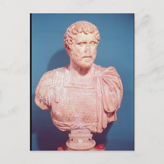 Bust of Emperor Antoninus Pius Postcard (Front)