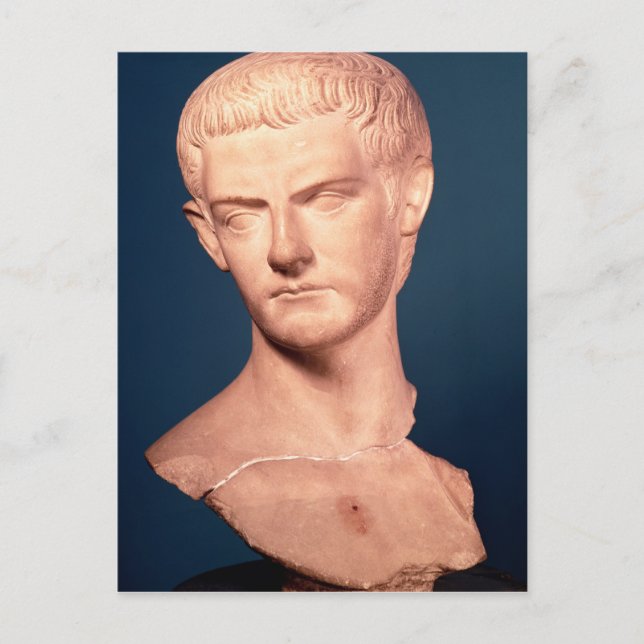 Bust of Emperor Caligula  from Thrace, c.39-40 AD Postcard (Front)