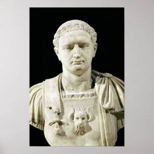 Bust of Emperor Domitian Poster