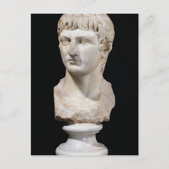 Bust of Germanicus Postcard (Front)