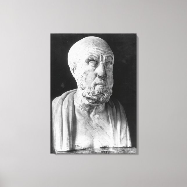 Bust of Hippocrates Canvas Print (Front)