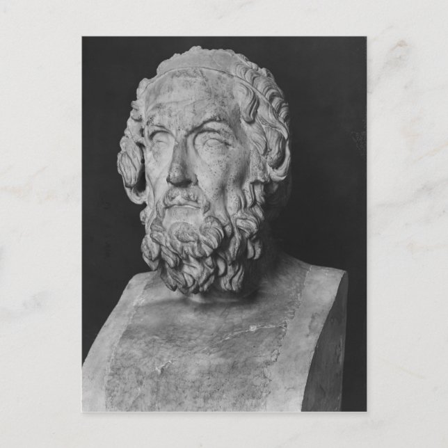 Bust of Homer, Hellenistic period Postcard (Front)