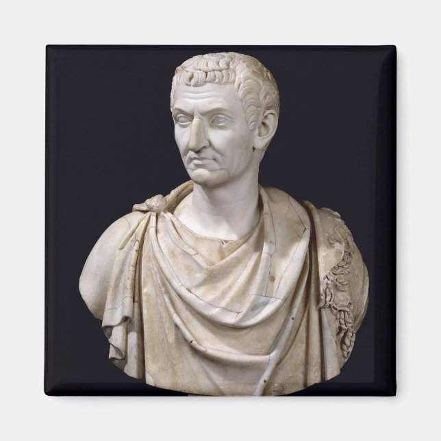 Bust of Marcus Cocceius Nerva Magnet (Front)