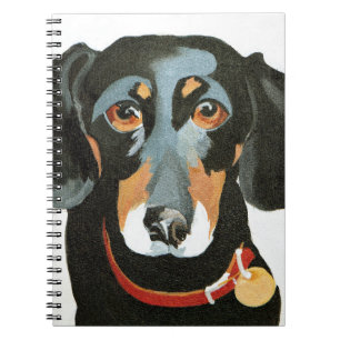 Buster 2012 notebook