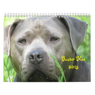 Buster Blue Calendar