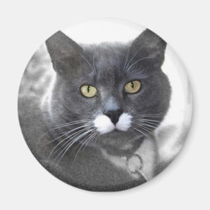 BUSTER MAGNET