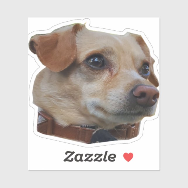 Buster Sticker (Sheet)