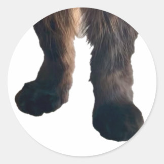 Buster Sticker - Feet!