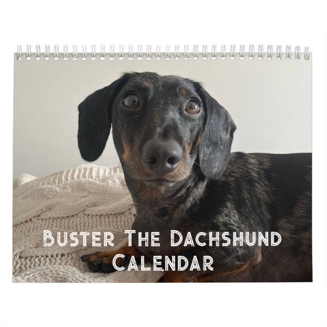 Buster the Dachshund Calendar (Cover)