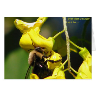 Busy as a Bee