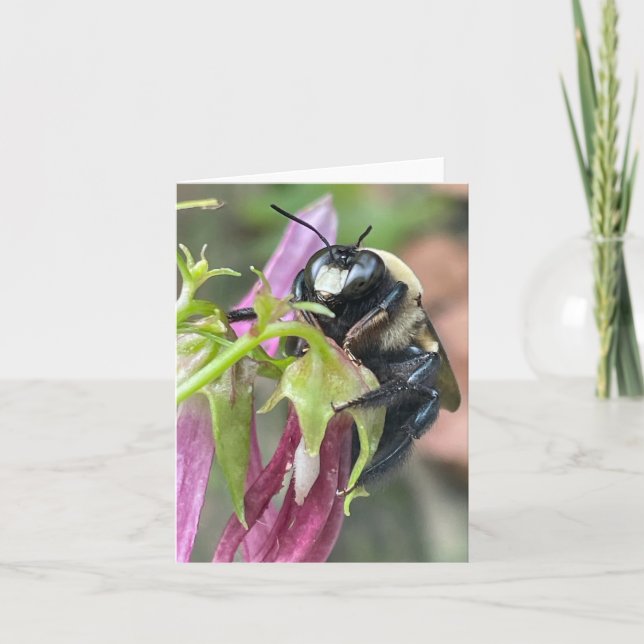 Busy as a Bee Announcement (Front)