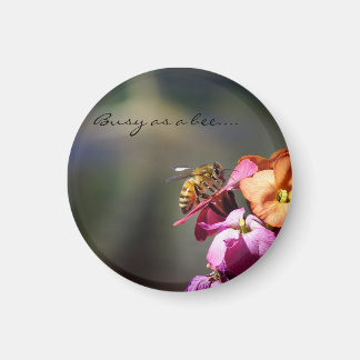 Busy as a Bee reward... Magnet