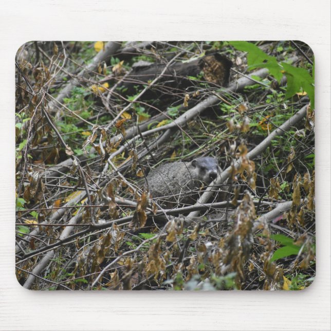 Busy Beaver Mouse Mat (Front)