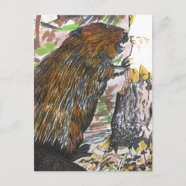 Busy Beaver Postcard (Front)