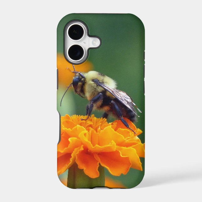 Busy Bee (Back)