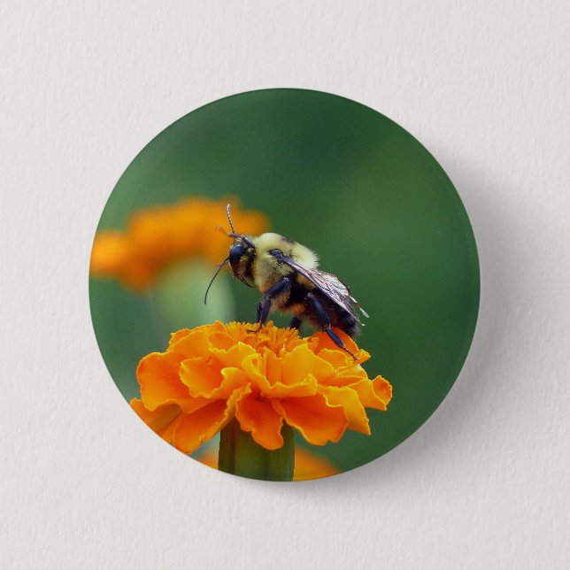 Busy Bee 6 Cm Round Badge (Front)
