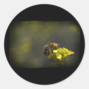 Busy Bee Classic Round Sticker