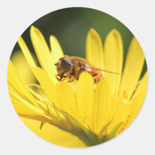 Busy Bee Classic Round Sticker