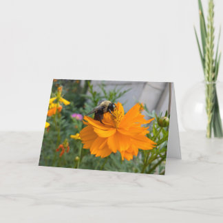 Busy Bee Greeting Card - Blank Card by Cottagevale