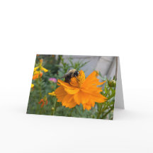 Busy Bee Greeting Card - Blank Card by Cottagevale