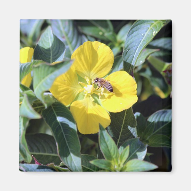 Busy Bee Magnet (Front)