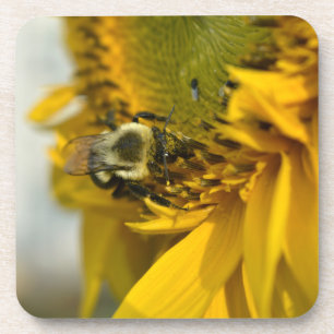 Busy Bee on a Sunflower Coaster