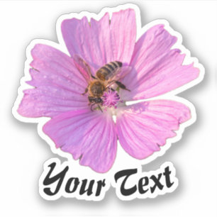 Busy bee on pink flower petals floral spring time
