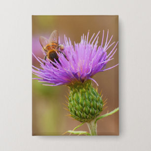 Busy Bee On Purple Thistle Clsoe-Up Photograph