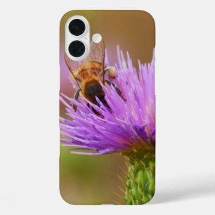 Busy Bee on Purple Thistle Flower Photograph iPhone 16 Plus Case