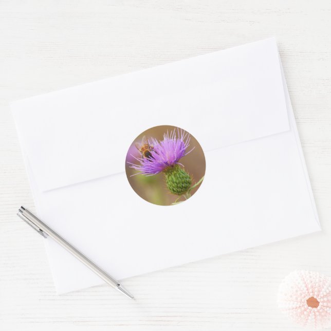 Busy Bee on Purple Thistle Photo Classic Round Sticker (Envelope)