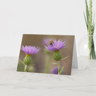 Busy Bee on Purple Thistle Photo Congratulations Card
