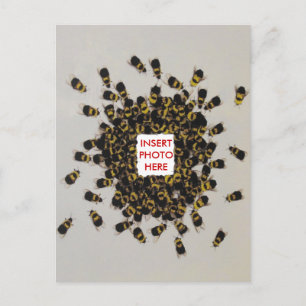Busy Bee PHOTO INSERT  Postcard