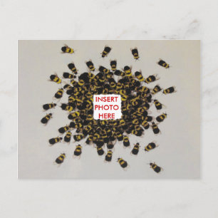 Busy Bee PHOTO INSERT  Postcard